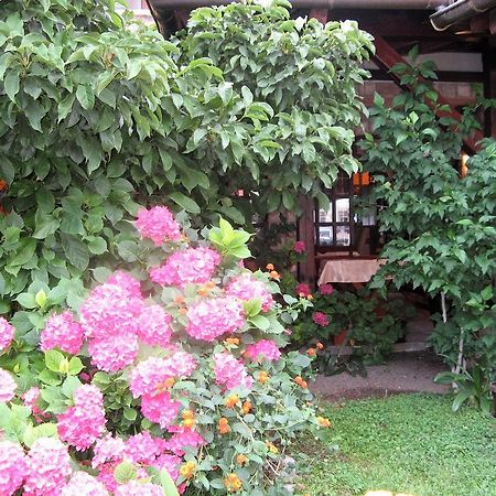 Guest House Zlatibor บุดวา ภายนอก รูปภาพ